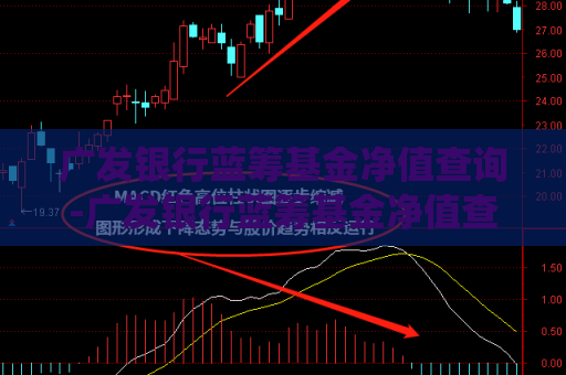 广发银行蓝筹基金净值查询-广发银行蓝筹基金净值查询系统