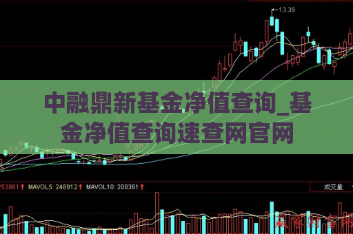 中融鼎新基金净值查询_基金净值查询速查网官网  第1张