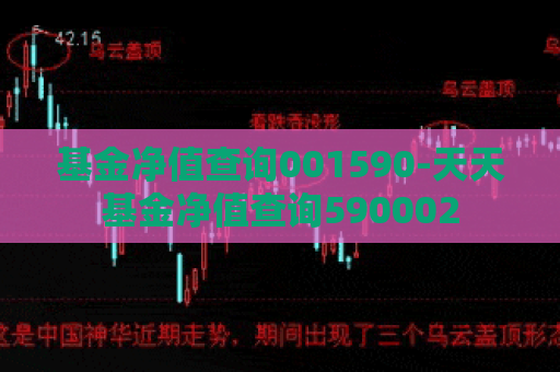 基金净值查询001590-天天基金净值查询590002  第1张