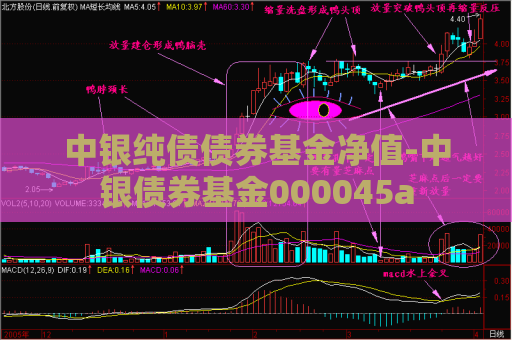 中银纯债债券基金净值-中银债券基金000045a