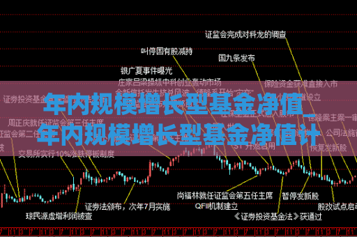 年内规模增长型基金净值_年内规模增长型基金净值计算公式