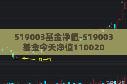 519003基金净值-519003基金今天净值110020  第1张