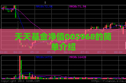 天天基金净值005968的简单介绍  第1张