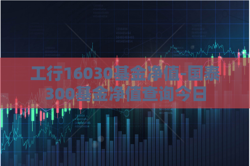 工行16030基金净值-国泰300基金净值查询今日  第1张
