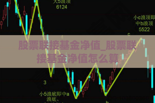 股票联接基金净值_股票联接基金净值怎么算  第1张