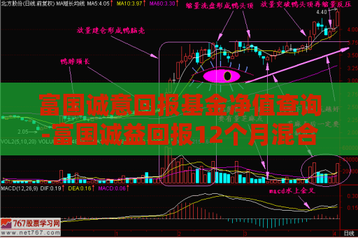 富国诚意回报基金净值查询-富国诚益回报12个月混合c  第1张