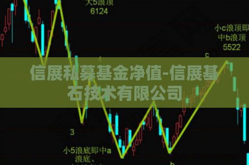 信展私募基金净值-信展基石技术有限公司