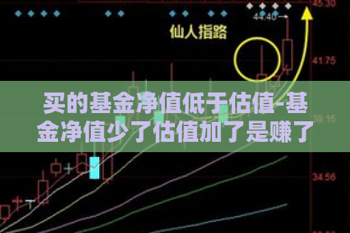 买的基金净值低于估值-基金净值少了估值加了是赚了吗