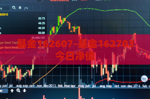 基金162607-基金162703今日净值  第1张