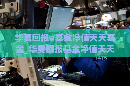 华夏回报a基金净值天天基金_华夏回报基金净值天天基金网触屏版  第1张