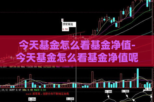 今天基金怎么看基金净值-今天基金怎么看基金净值呢  第1张