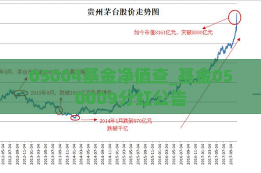 05004基金净值查_基金050009分红公告  第1张