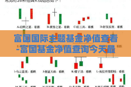 富国国际主题基金净值查看-富国基金净值查询今天最新净值