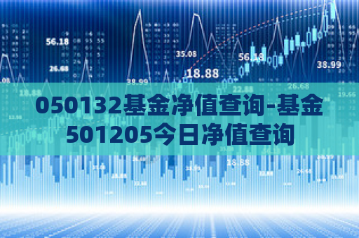 050132基金净值查询-基金501205今日净值查询  第1张