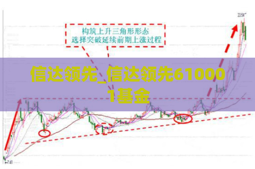 信达领先_信达领先610001基金