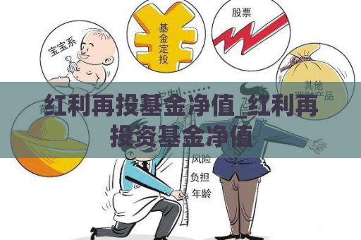 红利再投基金净值_红利再投资基金净值  第1张