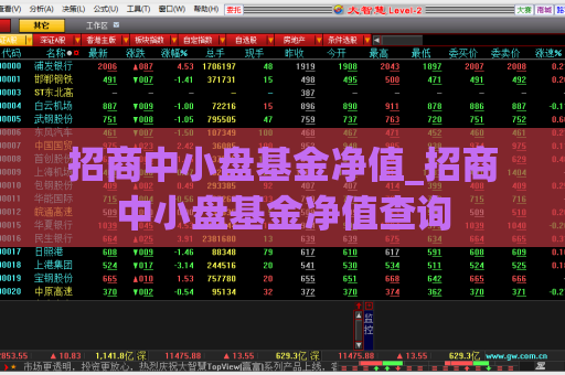 招商中小盘基金净值_招商中小盘基金净值查询  第1张