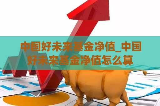 中国好未来基金净值_中国好未来基金净值怎么算  第1张