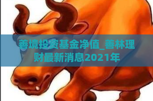 善境投资基金净值_善林理财最新消息2021年  第1张