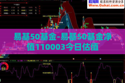 易基50基金-易基50基金净值110003今日估值  第1张