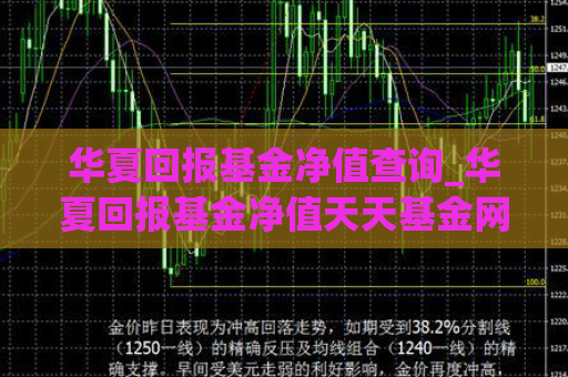 华夏回报基金净值查询_华夏回报基金净值天天基金网触屏版  第1张