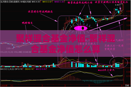 聚祥混合基金净值-聚祥混合基金净值怎么算  第1张