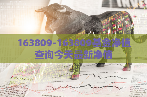 163809-163809基金净值查询今天最新净值  第1张