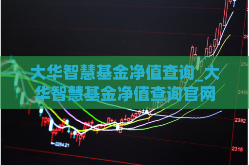 大华智慧基金净值查询_大华智慧基金净值查询官网  第1张