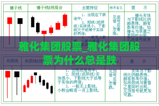 雅化集团股票_雅化集团股票为什么总是跌  第1张