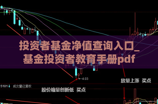 投资者基金净值查询入口_基金投资者教育手册pdf  第1张