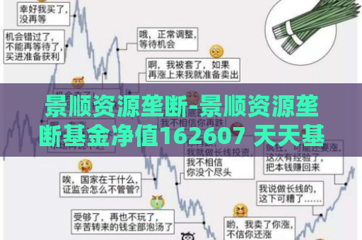 景顺资源垄断-景顺资源垄断基金净值162607 天天基金净值多少  第1张