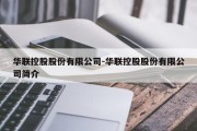 华联控股股份有限公司-华联控股股份有限公司简介