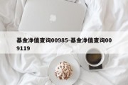 基金净值查询00985-基金净值查询009119