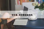 华尔泰_华尔泰资金流向