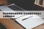 农村有哪些致富新项目-农村致富新项目业什么最赚钱农村