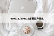 600711_600711主要生产什么