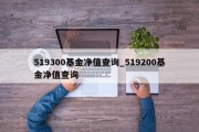 519300基金净值查询_519200基金净值查询