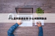 什么是转融通业务-什么叫做转融通