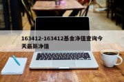 163412-163412基金净值查询今天最新净值