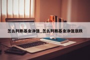 怎么判断基金净值_怎么判断基金净值涨跌