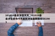 161810基金净值天天_161810基金净值查询今天最新净值最新股价161903