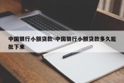 中国银行小额贷款-中国银行小额贷款多久能批下来