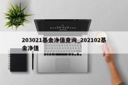 203021基金净值查询_202102基金净值