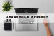 基金净值查询600340_基金净值查询速查网