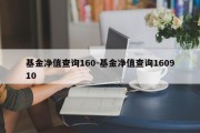 基金净值查询160-基金净值查询160910