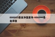 000085基金净值查询-000086基金净值