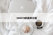 300674的简单介绍