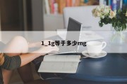 1_1g等于多少mg