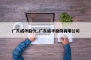 广东威华股份_广东威华股份有限公司