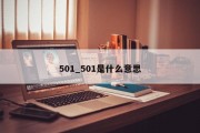 501_501是什么意思